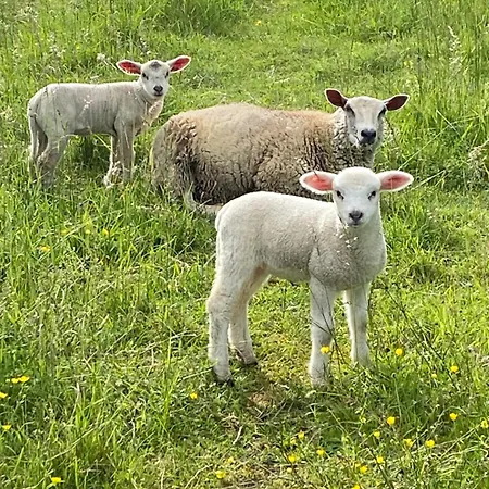Couette-café Combe Rouge Belveze