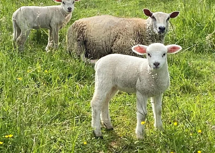 Frühstückspension Combe Rouge Belveze